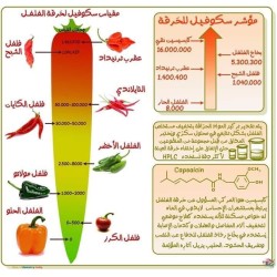 فوائد وأضرار الفلفل 